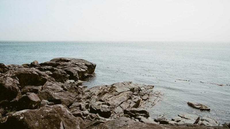 Lahmajo Corner